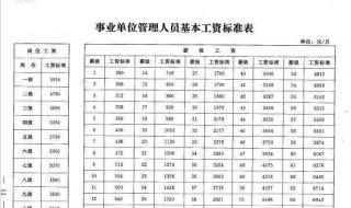 事业单位工资表