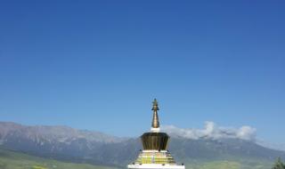 1000的手机 1000的手机