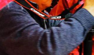 兔年新春祝福老师