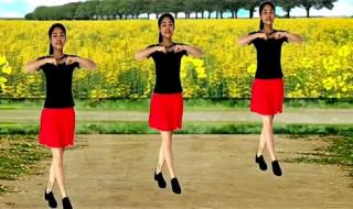 为什么就这么老了广场舞32步 32步广场舞