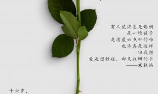 2月14日情人节文案 2月14日情人节文案