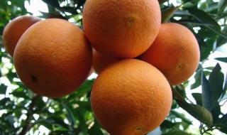 有机农产品 有机农产品