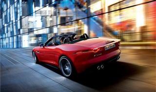 优雅的名字 优雅的名字