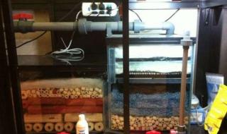 自制过滤器 自制过滤器