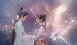 桑酒是苏苏的前世吗 桑酒是苏苏的前世吗