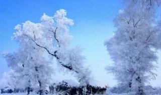 抖音下雪超级火的句子 抖音下雪超级火的句子