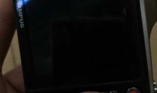 最好的数码相机品牌