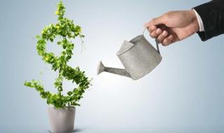 100万如何投资理财